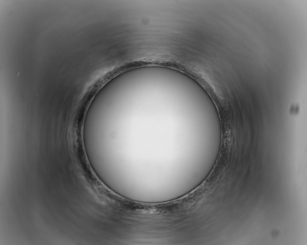 X0000102370688200808011024