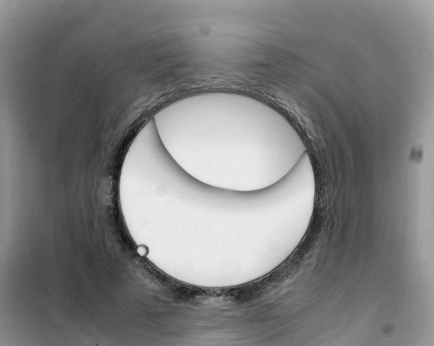 X0000102370689200808011024