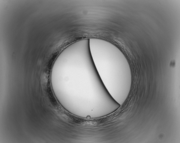 X0000102370691200808011024