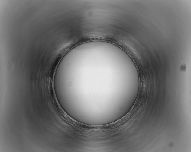 X0000102370692200808011024