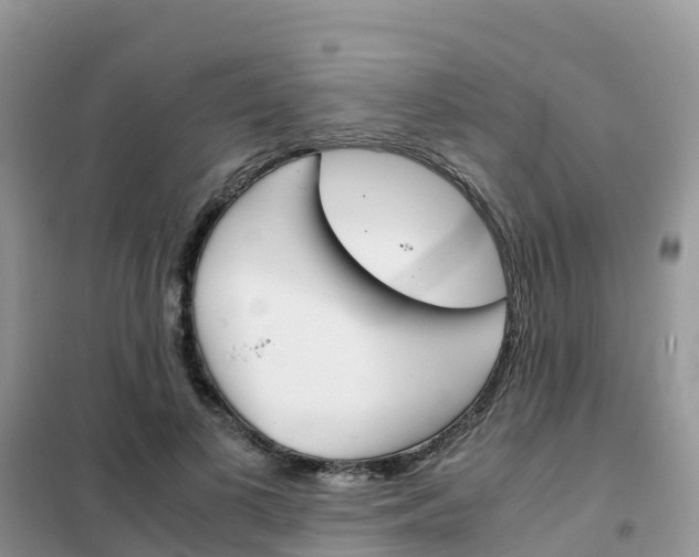 X0000102370693200808011024