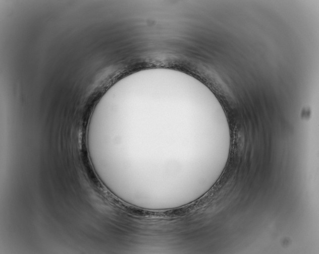 X0000102370694200808011024