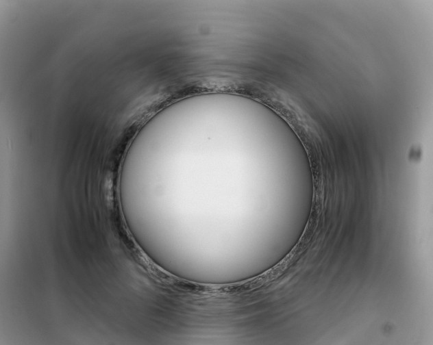 X0000102370696200808011024