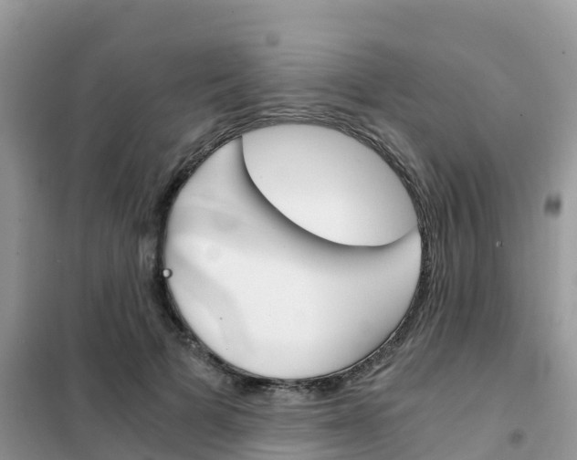 X0000102370697200808011024
