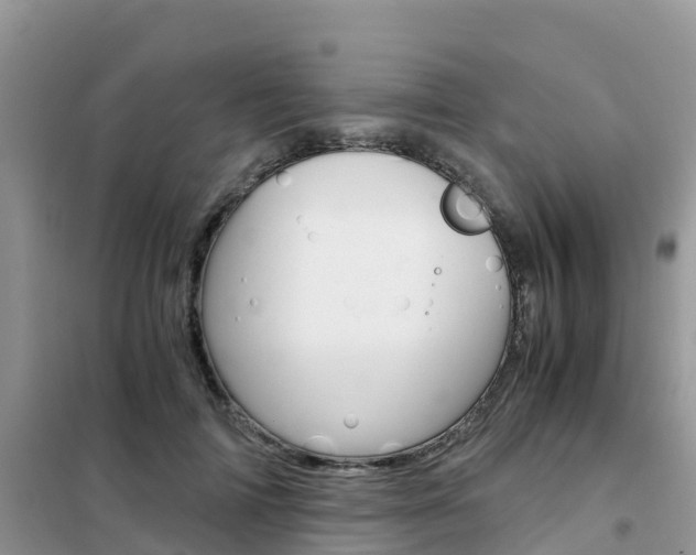 X0000102370698200808011024