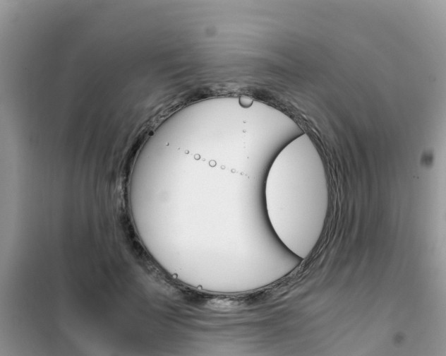 X0000102370699200808011024