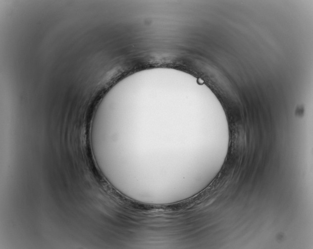 X0000102370700200808011024