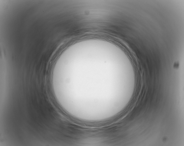 X0000102370701200808011024