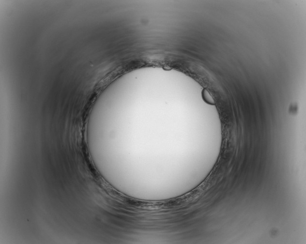 X0000102370702200808011024