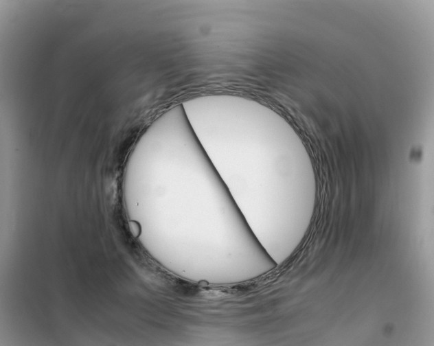 X0000102370703200808011024