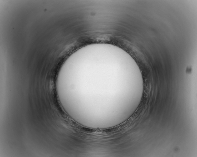 X0000102370704200808011024
