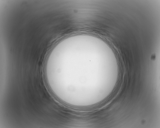 X0000102370705200808011024
