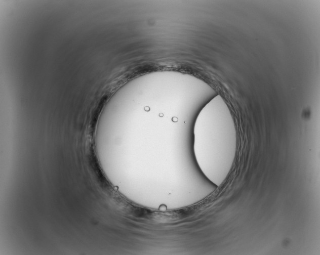 X0000102370707200808011024