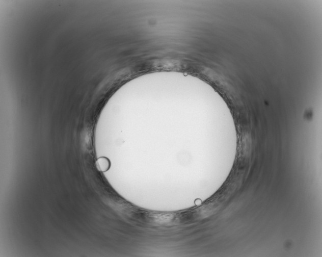 X0000102370709200808011024