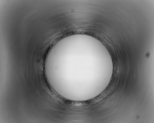 X0000102370710200808011024