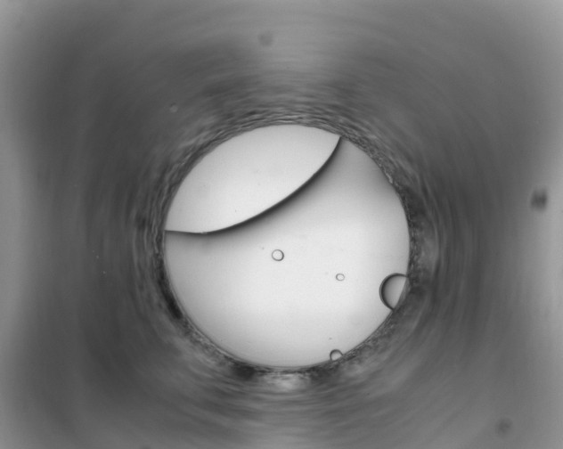 X0000102370711200808011024