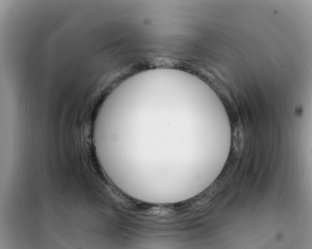 X0000102370714200808011024