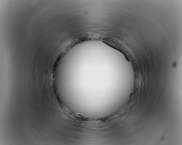 X0000102370716200808011024