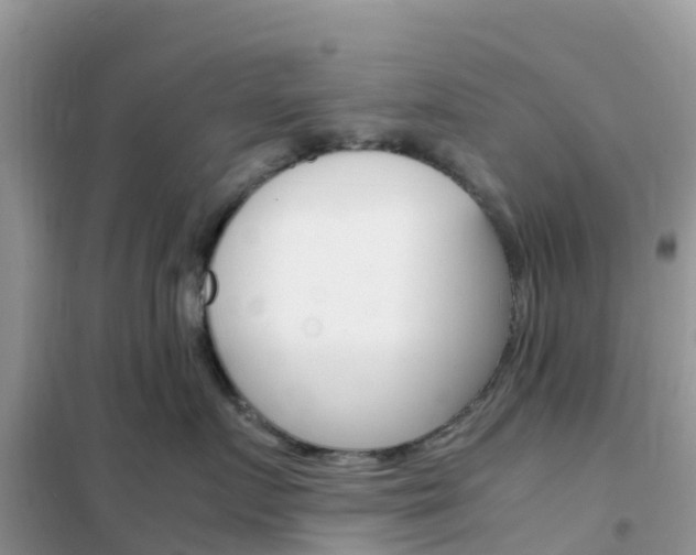 X0000102370719200808011024