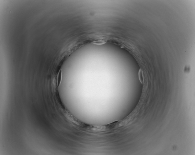 X0000102370720200808011024