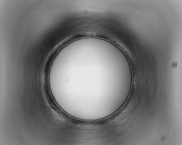 X0000102370722200808011023