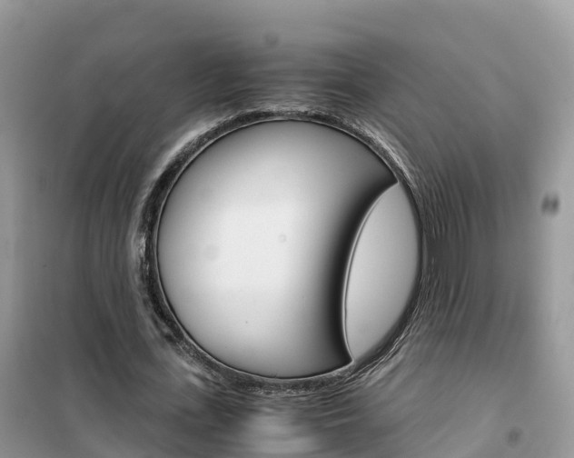 X0000102370723200808011023