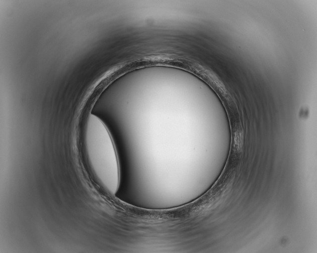 X0000102370724200808011023