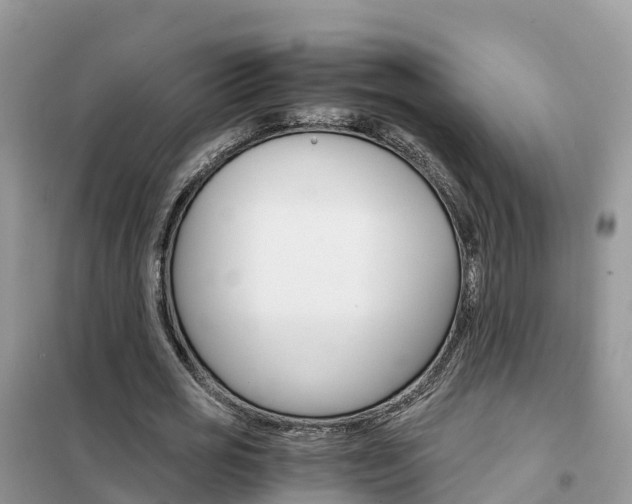 X0000102370725200808011023
