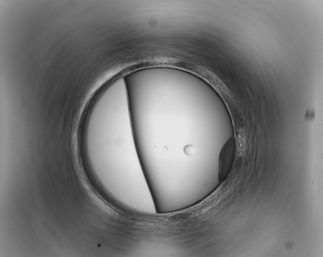 X0000102370726200808011023