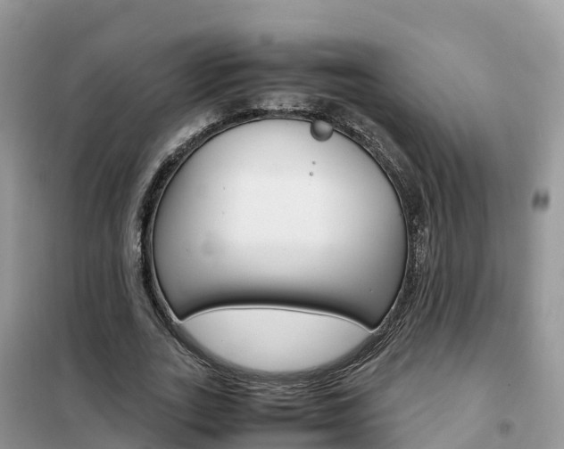 X0000102370727200808011023