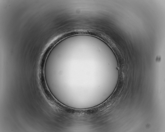 X0000102370728200808011023