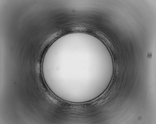 X0000102370729200808011023