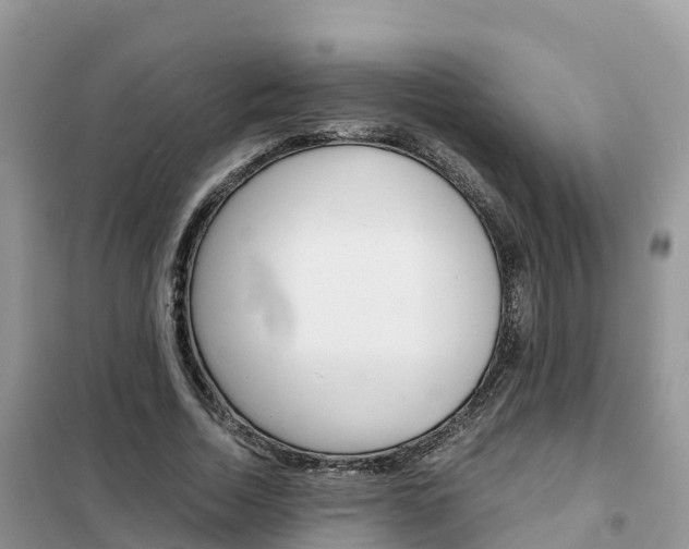 X0000102370730200808011023