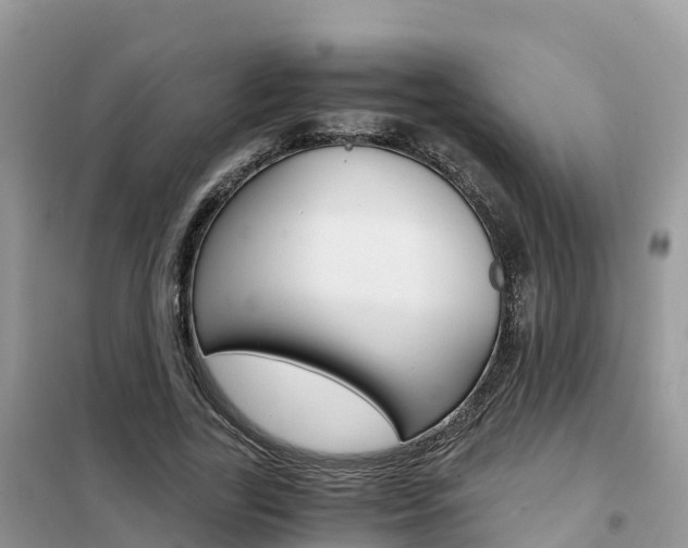 X0000102370731200808011023