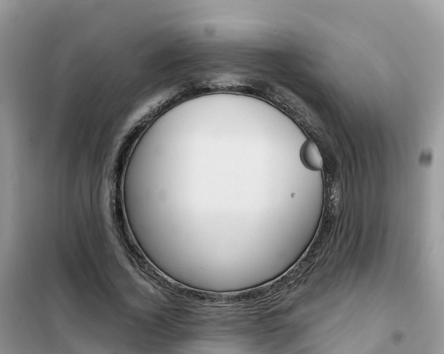 X0000102370732200808011023
