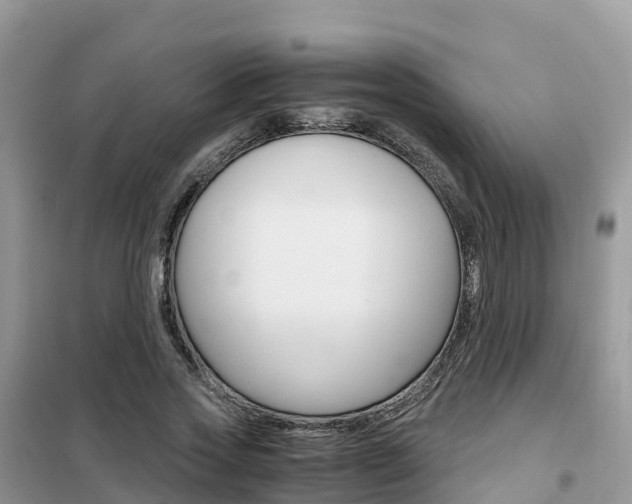 X0000102370733200808011023