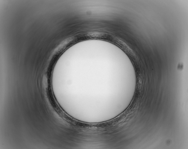 X0000102370734200808011023
