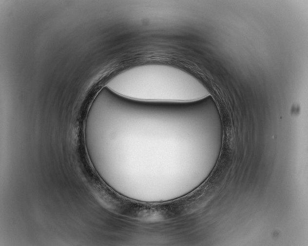 X0000102370735200808011023