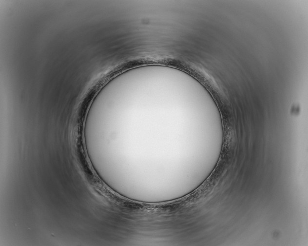 X0000102370736200808011023