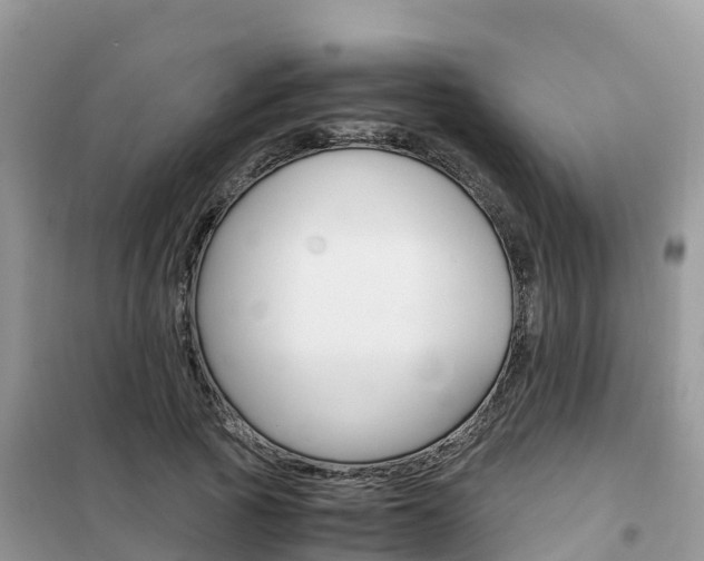 X0000102370737200808011023