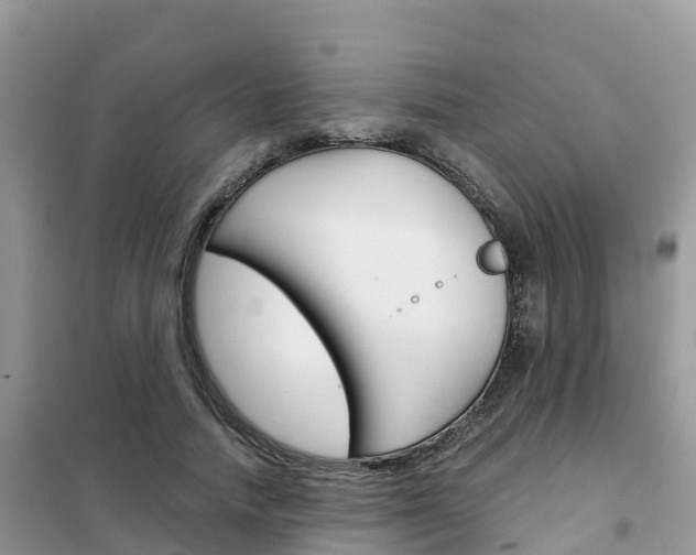 X0000102370738200808011023