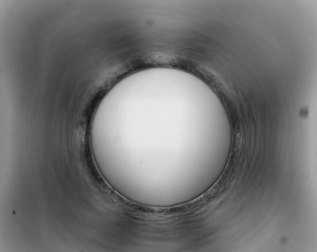 X0000102370739200808011023