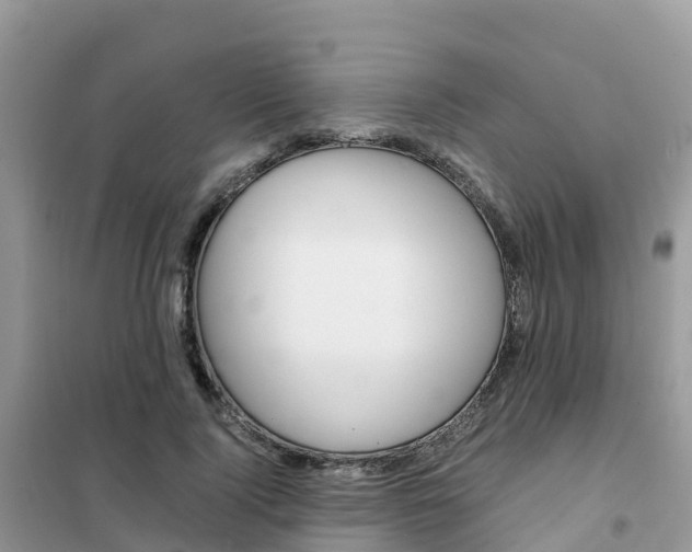 X0000102370740200808011023