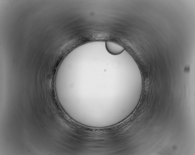 X0000102370741200808011023