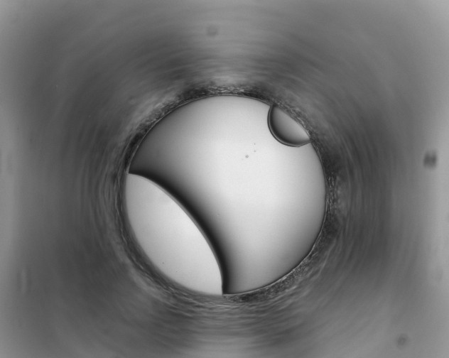 X0000102370742200808011023