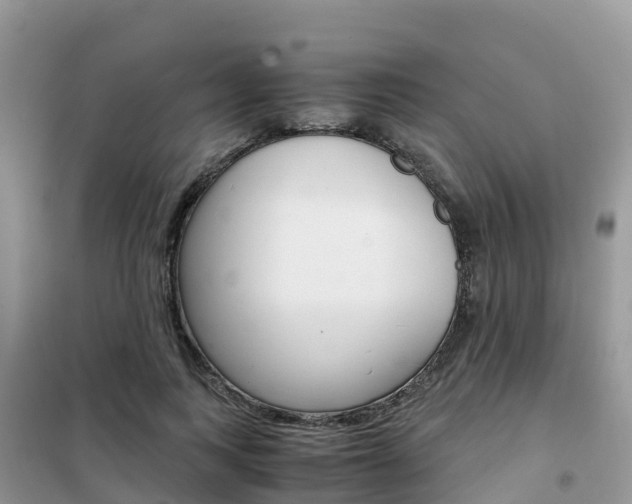 X0000102370743200808011023