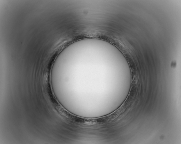 X0000102370744200808011023