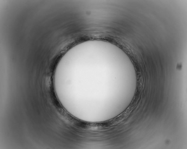 X0000102370746200808011023
