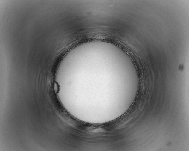 X0000102370747200808011023