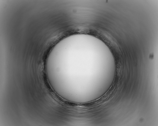 X0000102370748200808011023